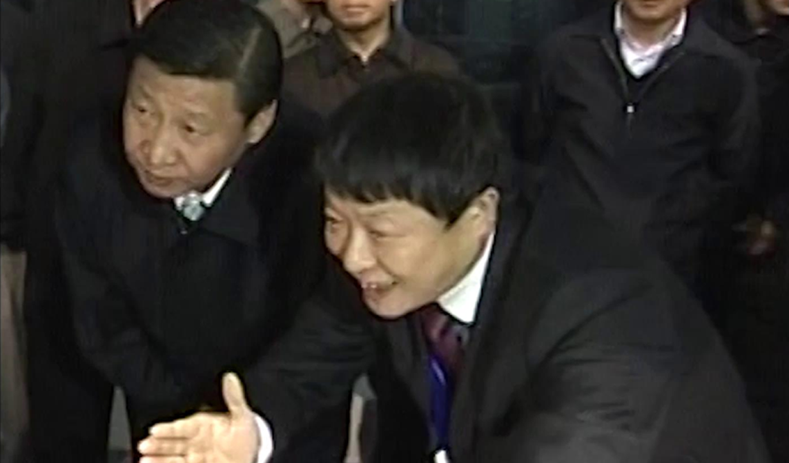 中共中央政治局常委、中央书记处书记、国家副主席习近平视察海扶医疗