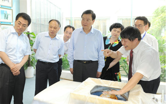 中共中央政治局委员、国务院副总理、重庆市委书记张德江视察海扶公司
